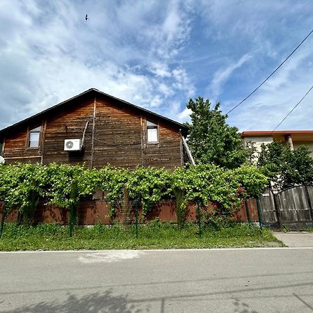 ❆Cozy, 4 Br. Villa In Ananuri❆ Extérieur photo